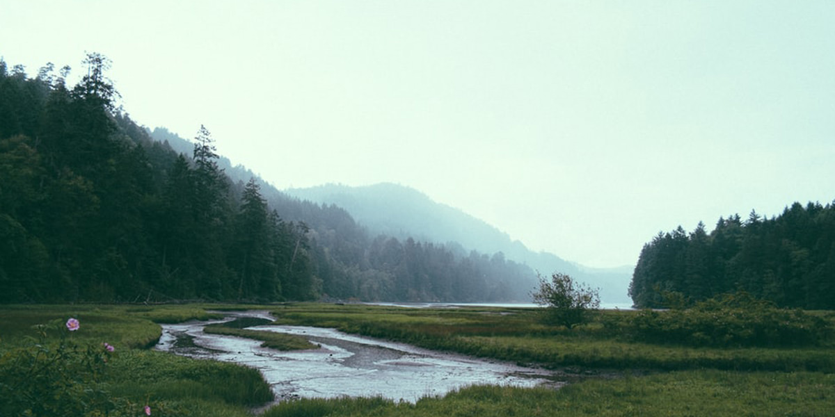 as-eye-see-it-blog-img