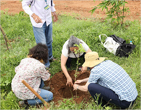 people are planting trees at kanha shnativanam