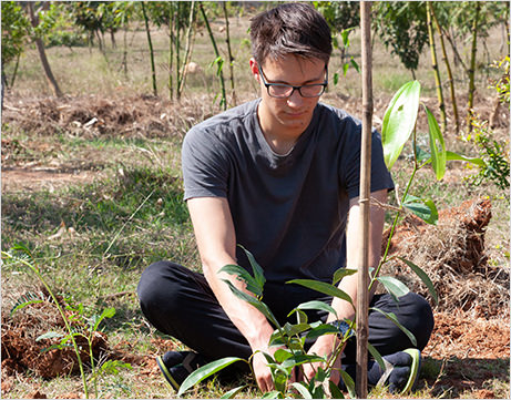 foreigner is planting tress at Kanha
