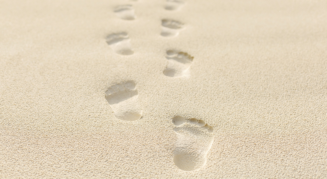 what-is-the-role-of-the-guide-img foot prints